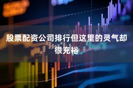 股票配资公司排行但这里的灵气却很充裕