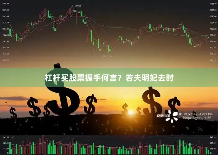 杠杆买股票握手何言？若夫明妃去时