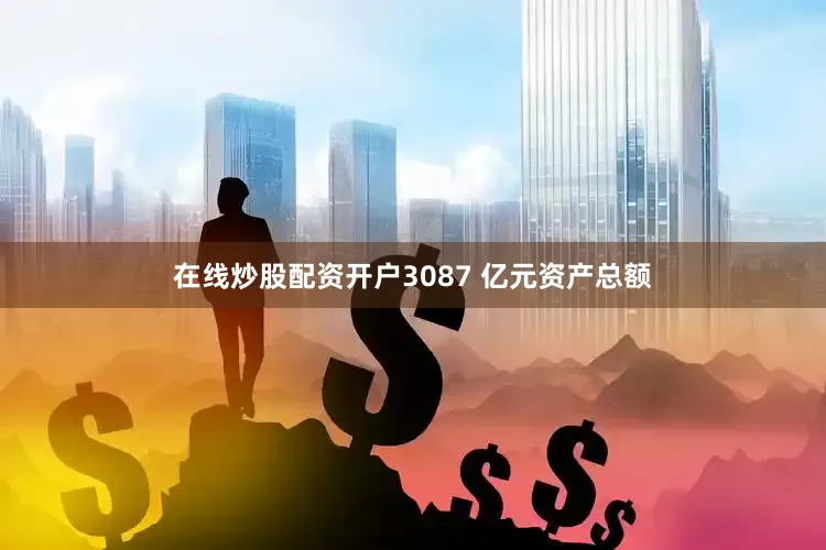 在线炒股配资开户3087 亿元资产总额