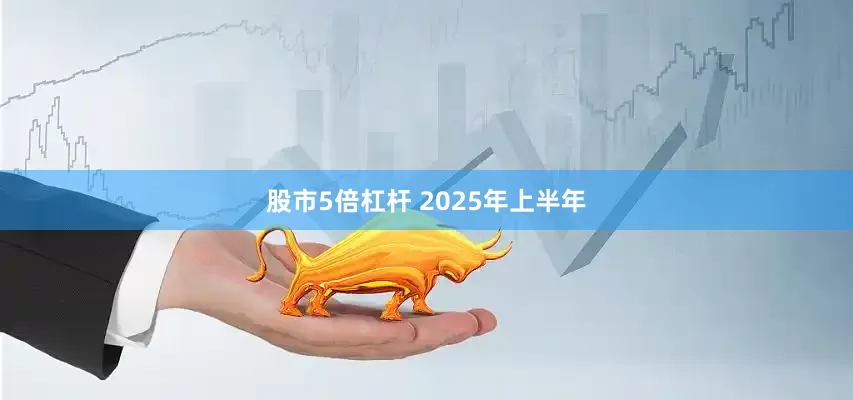 股市5倍杠杆 　　2025年上半年